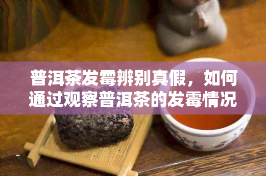 普洱茶发霉辨别真假，如何通过观察普洱茶的发霉情况来鉴别其真伪？