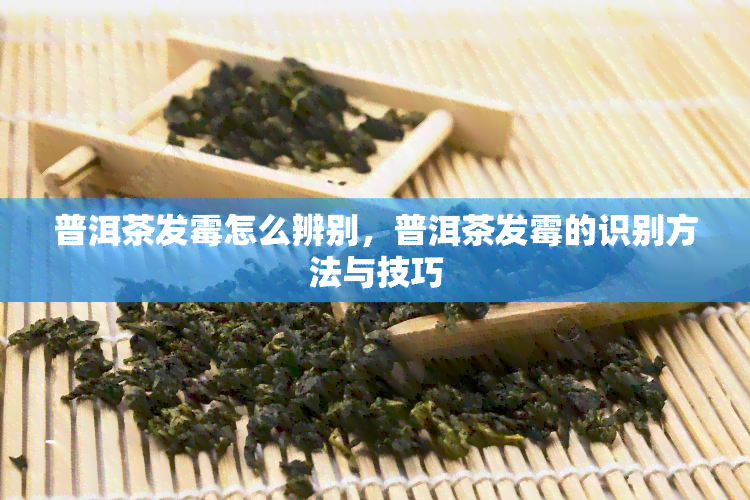 普洱茶发霉怎么辨别，普洱茶发霉的识别方法与技巧