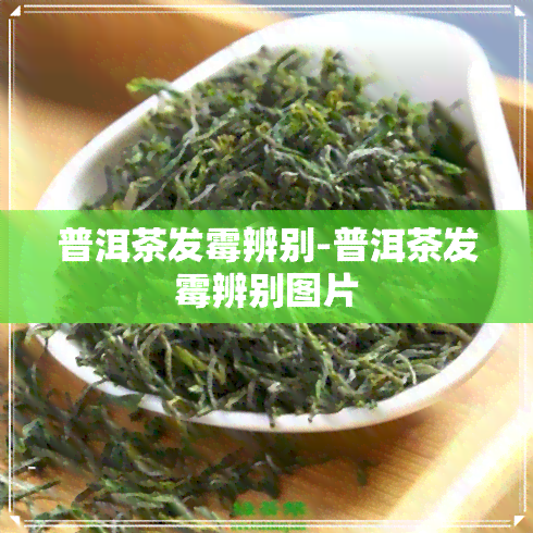 普洱茶发霉辨别-普洱茶发霉辨别图片