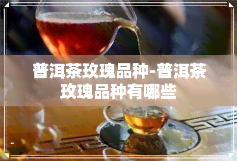 普洱茶玫瑰品种-普洱茶玫瑰品种有哪些