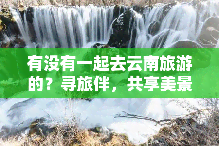 有没有一起去云南旅游的？寻旅伴，共享美景！