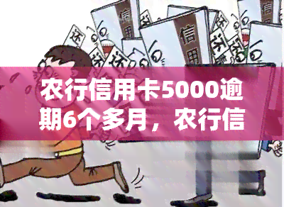 农行信用卡5000逾期6个多月，农行信用卡逾期6个月，欠款5000元仍未偿还