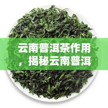 云南普洱茶作用，揭秘云南普洱茶的神奇功效与作用