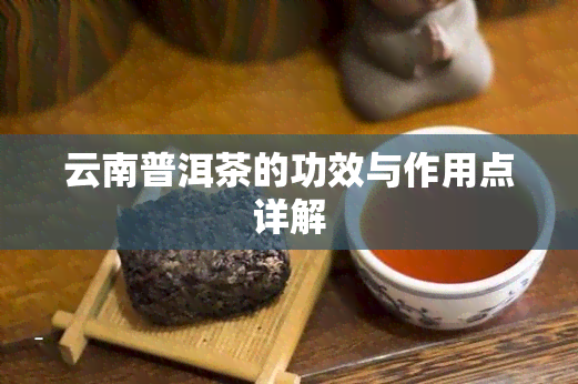 云南普洱茶的功效与作用点详解