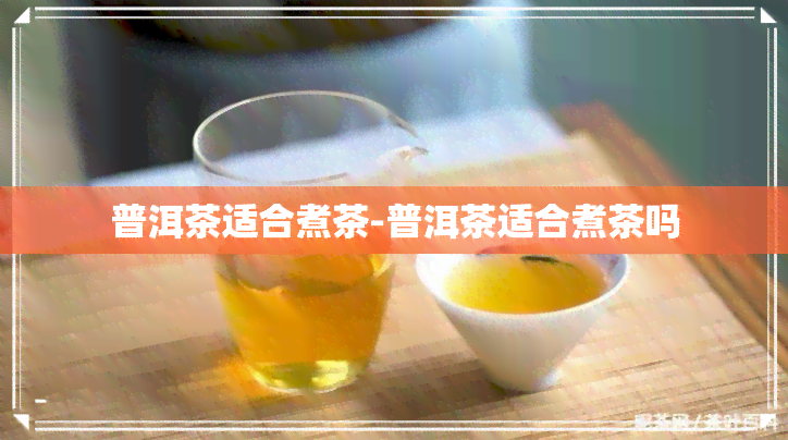 普洱茶适合煮茶-普洱茶适合煮茶吗