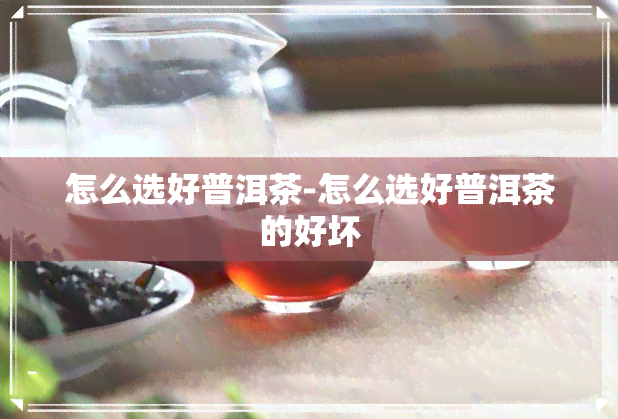 怎么选好普洱茶-怎么选好普洱茶的好坏