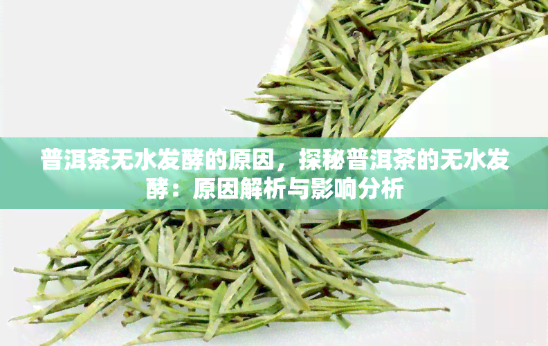 普洱茶无水发酵的原因，探秘普洱茶的无水发酵：原因解析与影响分析