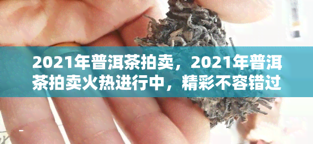 2021年普洱茶拍卖，2021年普洱茶拍卖火热进行中，精彩不容错过！