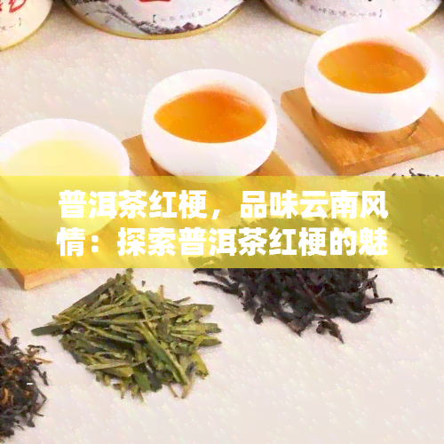 普洱茶红梗，品味云南风情：探索普洱茶红梗的魅力