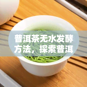 普洱茶无水发酵方法，探索普洱茶的另一种可能：无水发酵方法详解