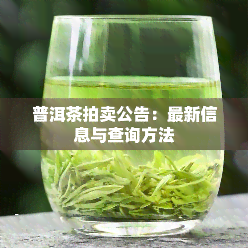 普洱茶拍卖公告：最新信息与查询方法