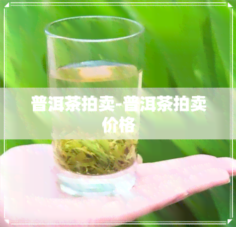 普洱茶拍卖-普洱茶拍卖价格