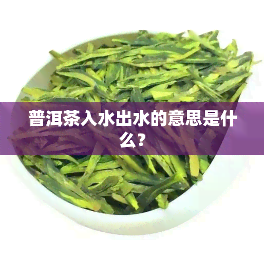 普洱茶入水出水的意思是什么？