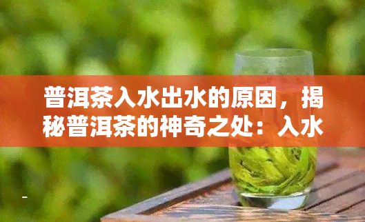 普洱茶入水出水的原因，揭秘普洱茶的神奇之处：入水出水之谜