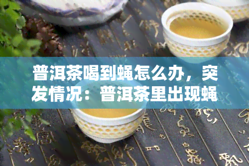 普洱茶喝到蝇怎么办，突发情况：普洱茶里出现蝇，如何处理？