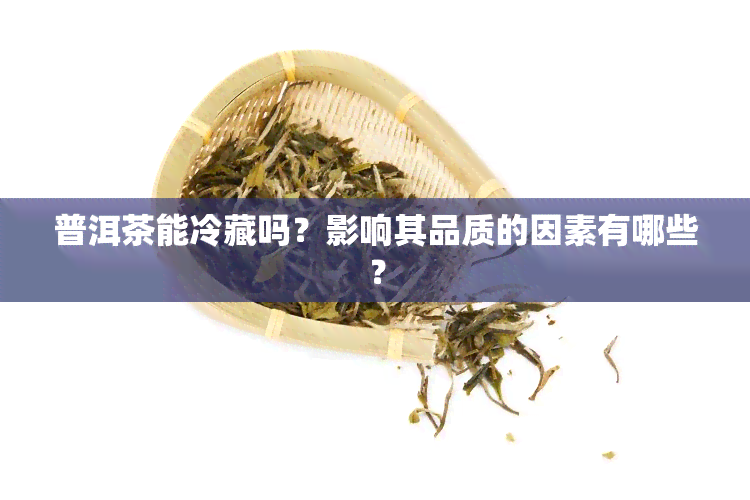 普洱茶能冷藏吗？影响其品质的因素有哪些？