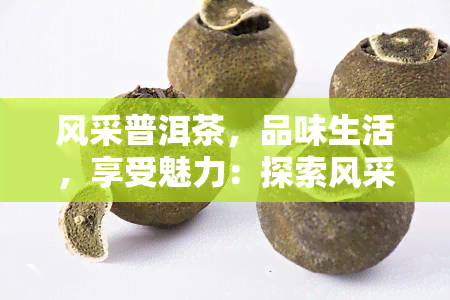 风采普洱茶，品味生活，享受魅力：探索风采普洱茶的世界