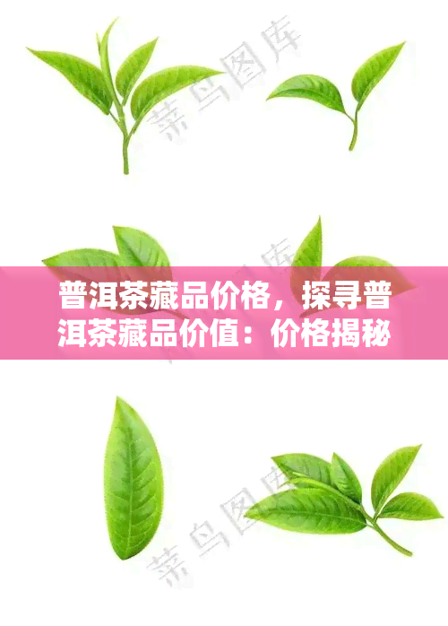 普洱茶藏品价格，探寻普洱茶藏品价值：价格揭秘与收藏建议