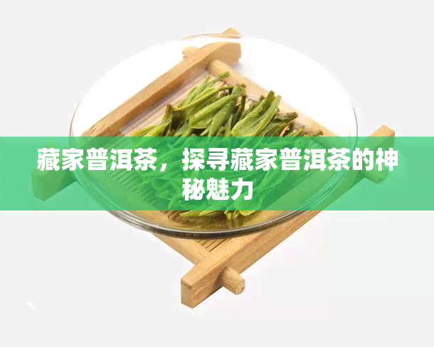 藏家普洱茶，探寻藏家普洱茶的神秘魅力