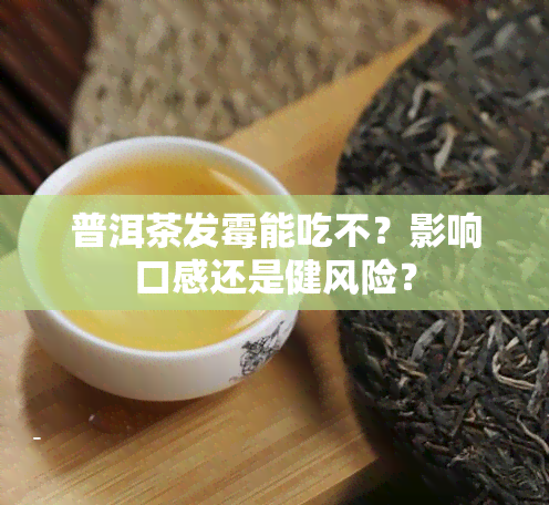 普洱茶发霉能吃不？影响口感还是健风险？