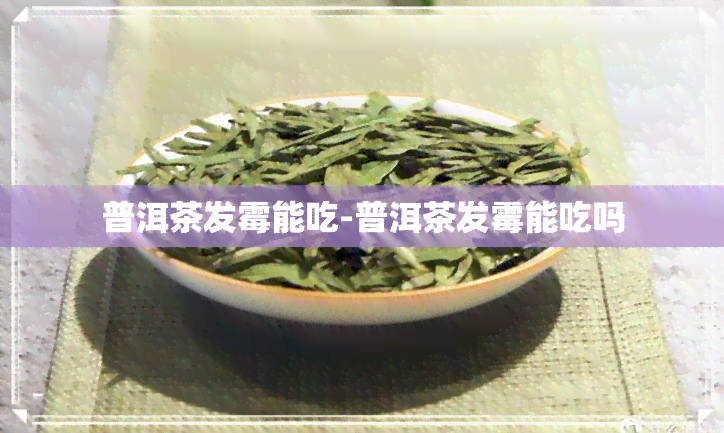 普洱茶发霉能吃-普洱茶发霉能吃吗