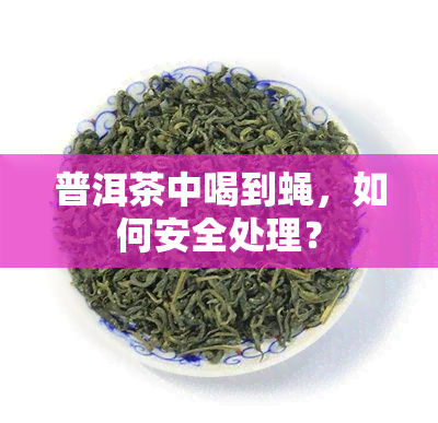 普洱茶中喝到蝇，如何安全处理？