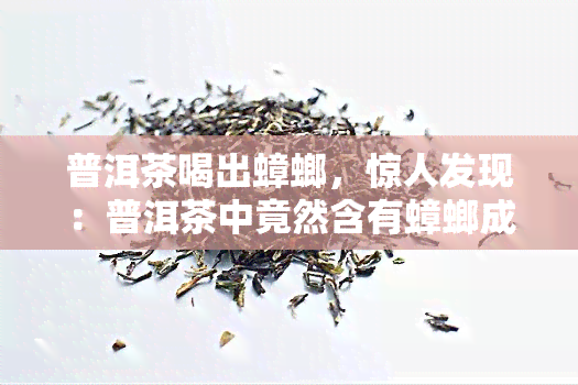 普洱茶喝出蟑螂，惊人发现：普洱茶中竟然含有蟑螂成分！