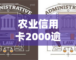 农业信用卡2000逾期两年还多少钱，逾期两年未还，农业信用卡2000元需要偿还多少？