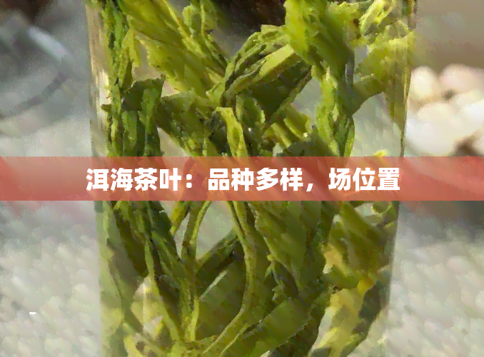 洱海茶叶：品种多样，场位置