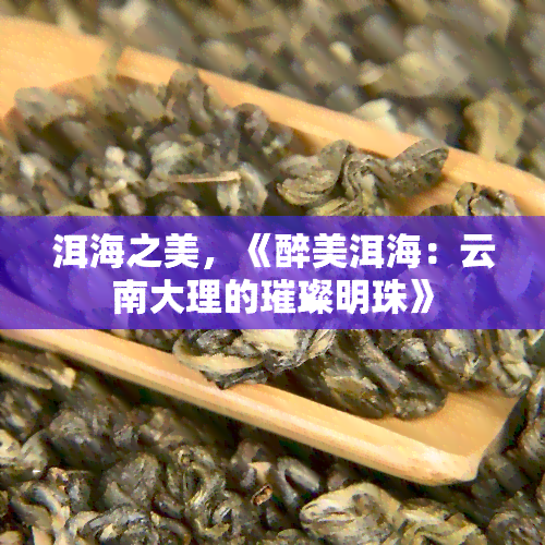 洱海之美，《醉美洱海：云南大理的璀璨明珠》