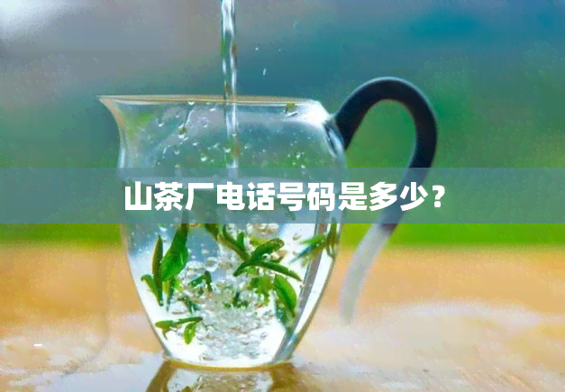 山茶厂电话号码是多少？