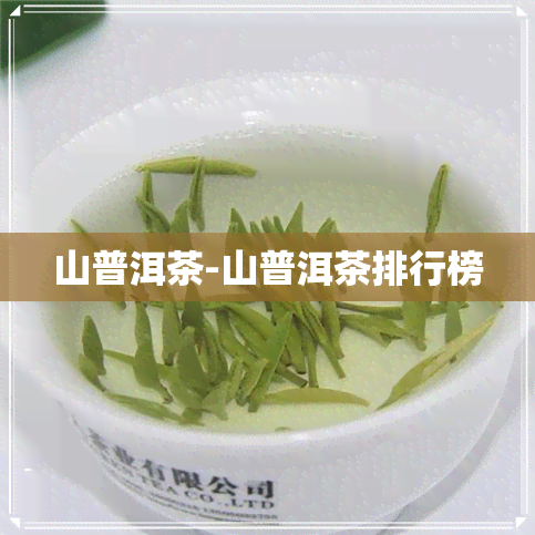 山普洱茶-山普洱茶排行榜