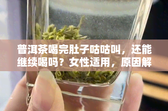 普洱茶喝完肚子咕咕叫，还能继续喝吗？女性适用，原因解析