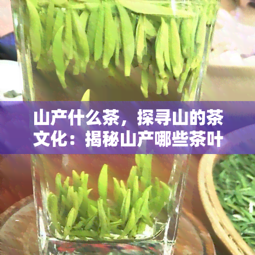 山产什么茶，探寻山的茶文化：揭秘山产哪些茶叶？