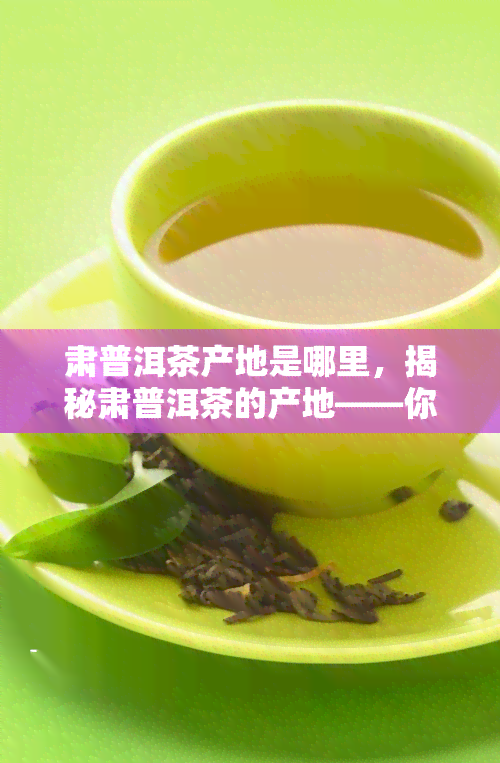 肃普洱茶产地是哪里，揭秘肃普洱茶的产地——你不知道的秘密！