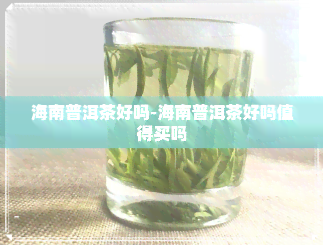 海南普洱茶好吗-海南普洱茶好吗值得买吗