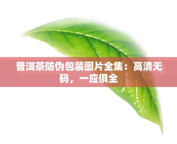 普洱茶防伪包装图片全集：高清     ，一应俱全