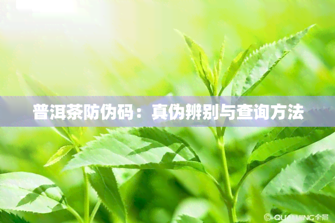 普洱茶防伪码：真伪辨别与查询方法