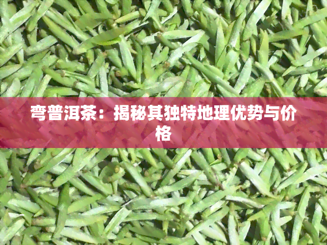 弯普洱茶：揭秘其独特地理优势与价格