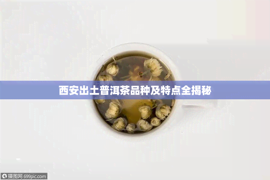 西安出土普洱茶品种及特点全揭秘