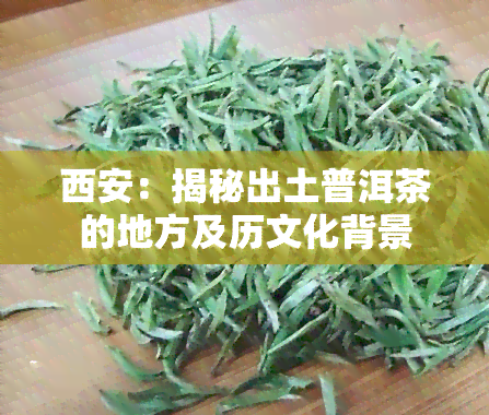 西安：揭秘出土普洱茶的地方及历文化背景