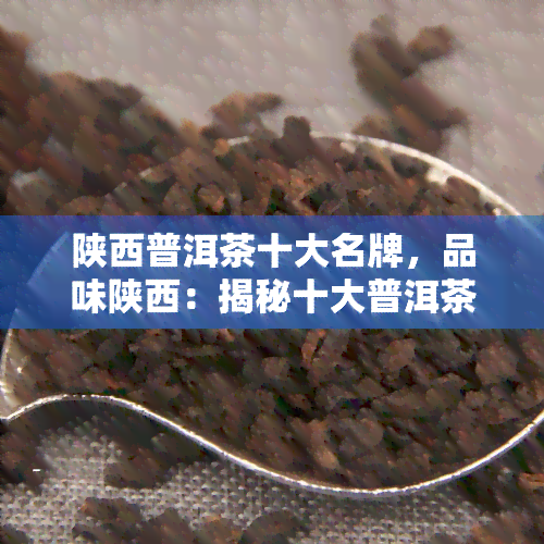 陕西普洱茶十大名牌，品味陕西：揭秘十大普洱茶名牌