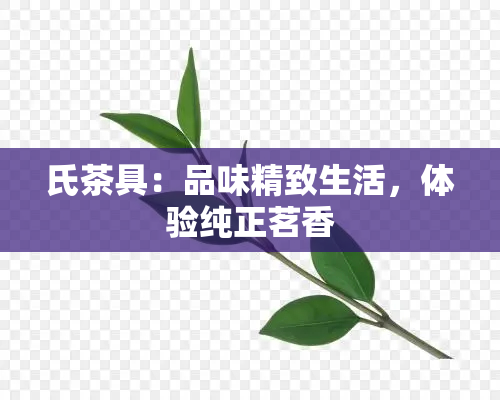 氏茶具：品味精致生活，体验纯正茗香