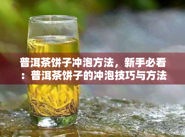 普洱茶饼子冲泡方法，新手必看：普洱茶饼子的冲泡技巧与方法