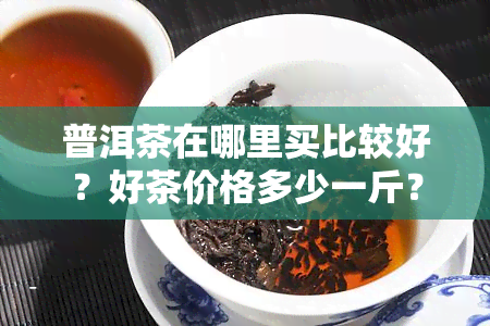 普洱茶在哪里买比较好？好茶价格多少一斤？