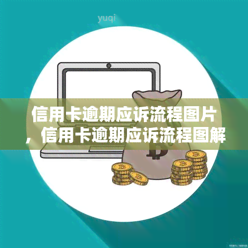 信用卡逾期应诉流程图片，信用卡逾期应诉流程图解：清晰明了的步骤指引