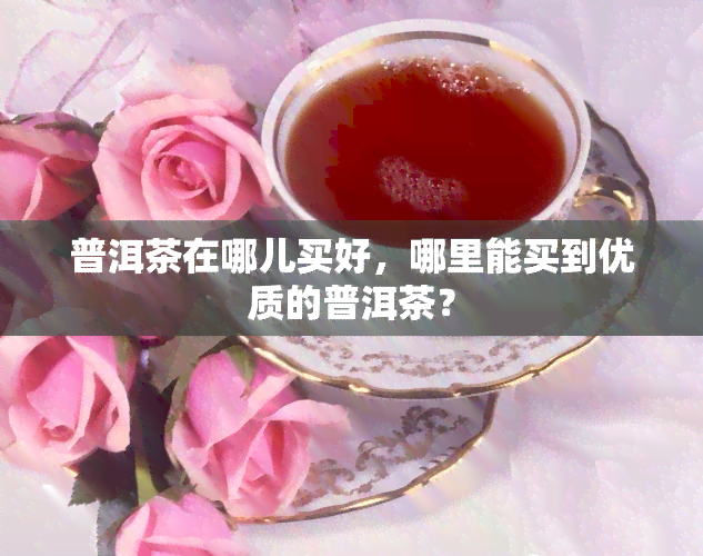 普洱茶在哪儿买好，哪里能买到优质的普洱茶？