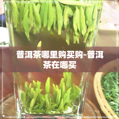 普洱茶哪里购买购-普洱茶在哪买