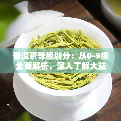 普洱茶等级划分：从0-9级全面解析，深入了解大益普洱茶等级划分