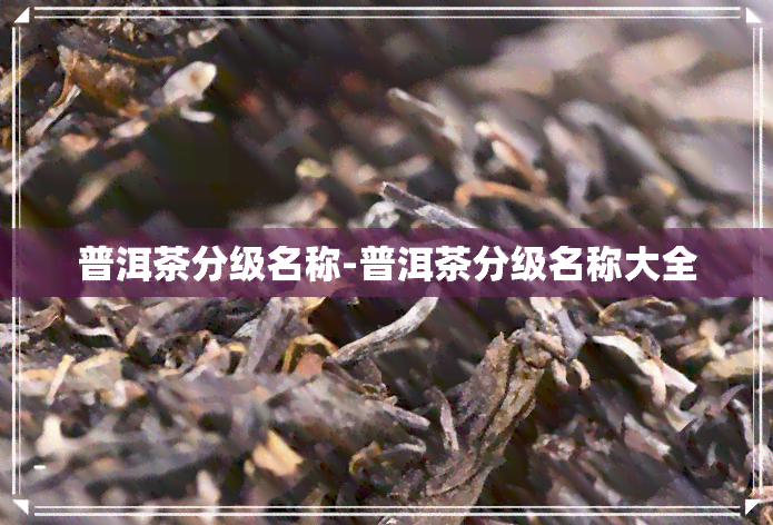 普洱茶分级名称-普洱茶分级名称大全